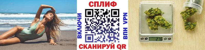 Где купить Кохма СК  Галлюциногенные грибы  Cocaine  Амфетамин  Каннабис  ГАШ  МЕФ 