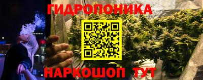 сатива Кумертау