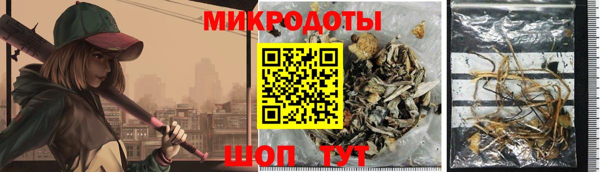 Кохма  Псилоцибиновые грибы Psilocybine cubensis  Вход с VPN 